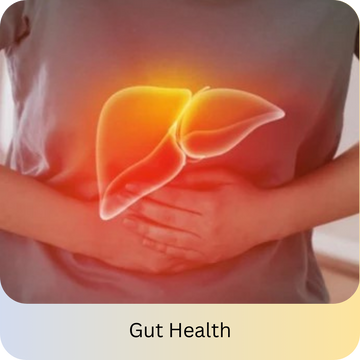Gut Health